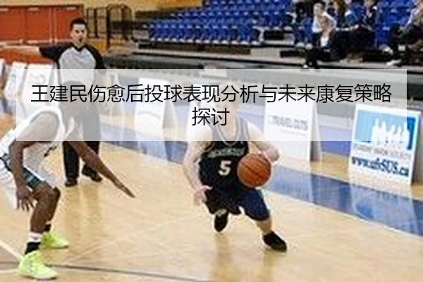 王建民伤愈后投球表现分析与未来康复策略探讨